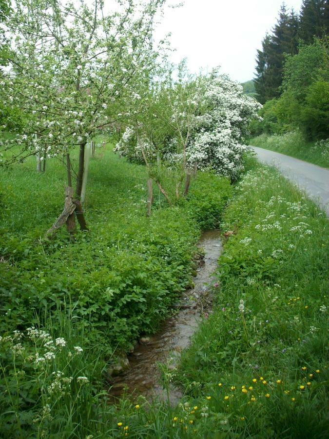 Gasthof Susewind Antfeld Eksteriør bilde